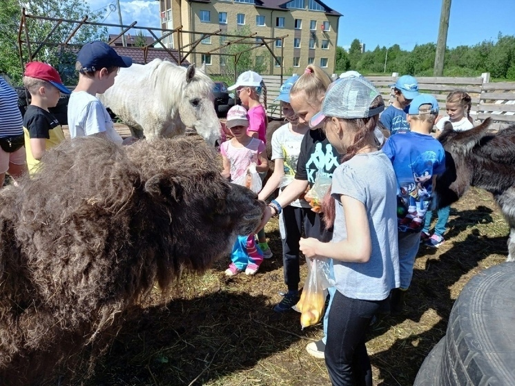 В школах Архангельска будут работать 60 летних лагерей