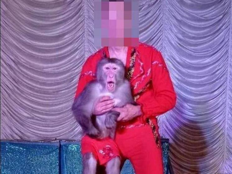 Виновником смертельного пожара в Красноярске оказался дрессировщик обезьянки
