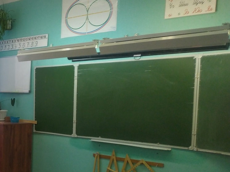 «Лесные классы» могут появиться в школах Вологодской области