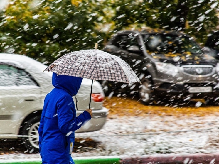 Снег с дождём ожидается в выходные дни в Томске и области