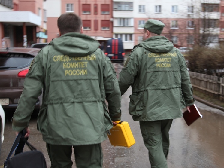 В Липецкой области 16-летняя девушка собиралась поджечь военкомат