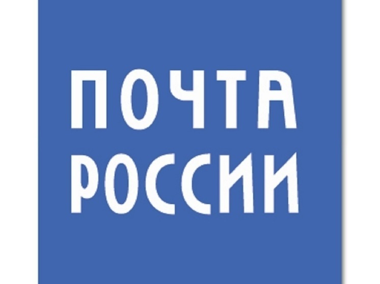 Около 2 900 посылок отправили жители Владимирской области в зону проведения СВО бесплатно по почте