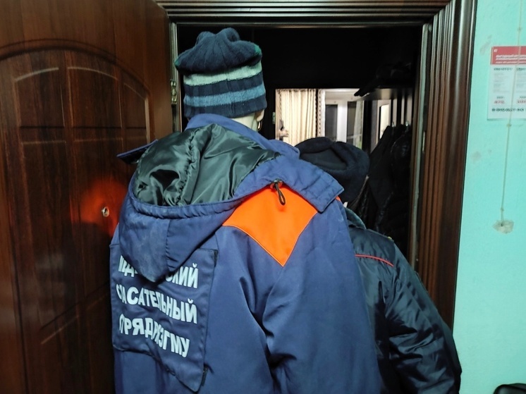 В Рязани спасатели вскрыли квартиру, в которой заперся маленький ребёнок