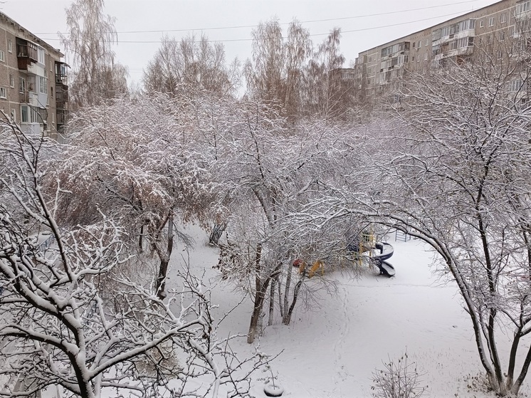 МЧС предупреждает о сильном ветре в Свердловской области