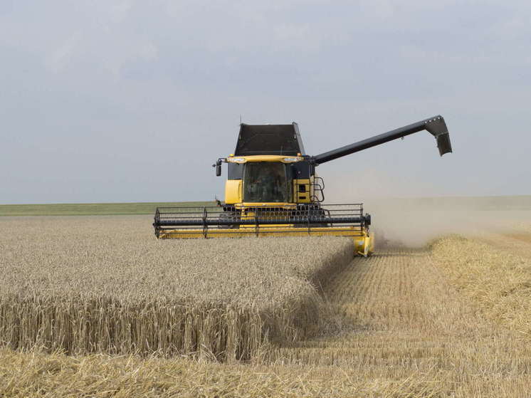 Чиновник сказал, когда ЕС вдвое повысит пошлины на российское зерно