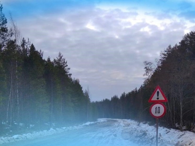 В Новгородской области из-за распутицы закрыли несколько грунтовых дорог