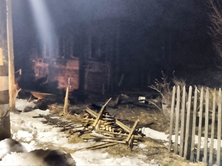 В Тверской области СК проведет проверку по факту гибели мужчины при пожаре