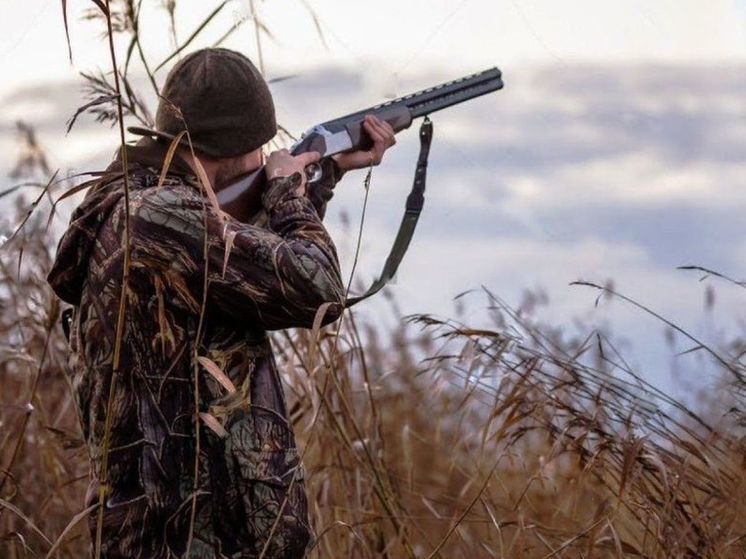 Ярославские охотники возмущены расценками на лицензии