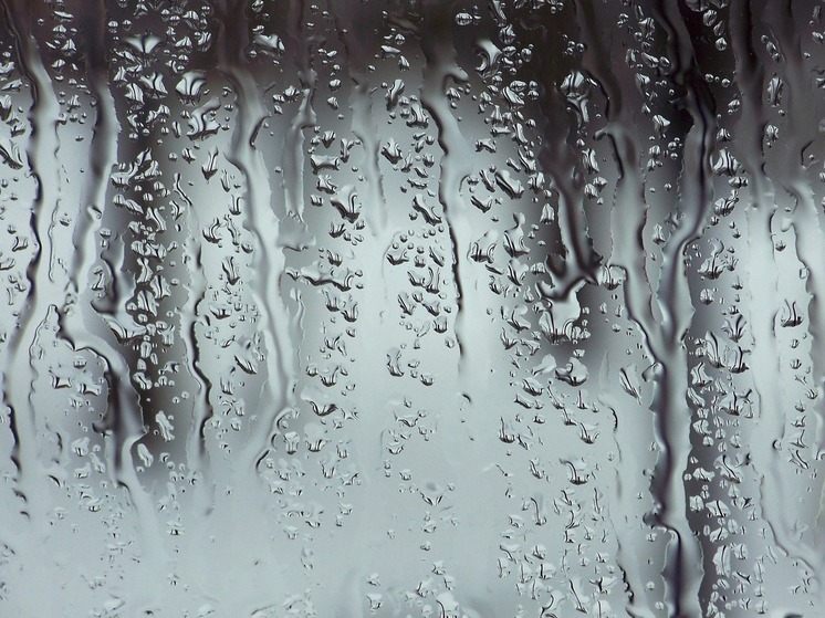 Дачников предупредили о дождливых выходных в Ленобласти