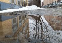 Пасмурная погода ожидается в Ленобласти в субботу, 23 марта. Об этом сообщила пресс-служба ГУ МЧС России по 47-му региону.