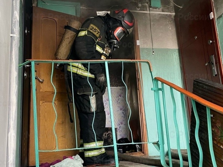 В Новомосковске спасатели потушили пожар и спасли 2 людей