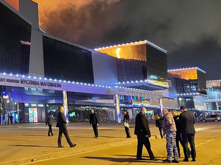 "Артистов проверяли до нитки": звезда "Голоса" раскрыла подробности работы охраны в "Крокус сити"