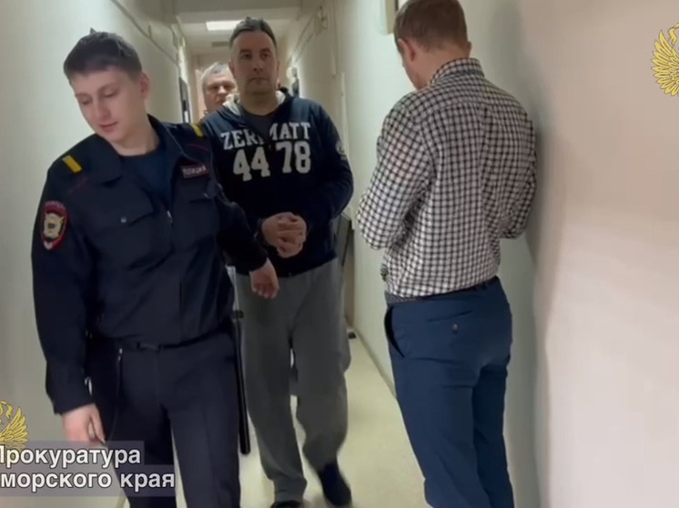 Сына экс-ректора ВГУЭС Лазарева арестовали на два месяца в Приморье