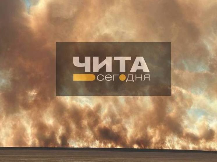 Степной пожар произошел недалеко от села в Забайкалье