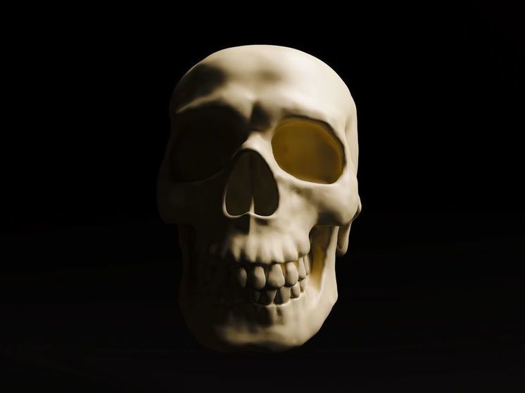 Найден доисторический крошечный череп с широко раскрытыми глазами и мультяшной улыбкой