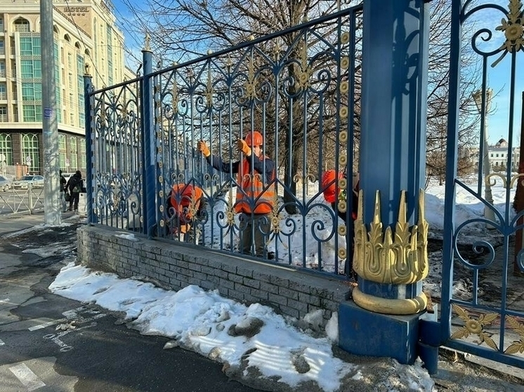 В казанском парке Тысячелетия планируется заменить старое ограждение живой изгородью