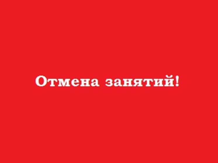 Занятия в музыкальных и худшколах Петрозаводска отменены для безопасности