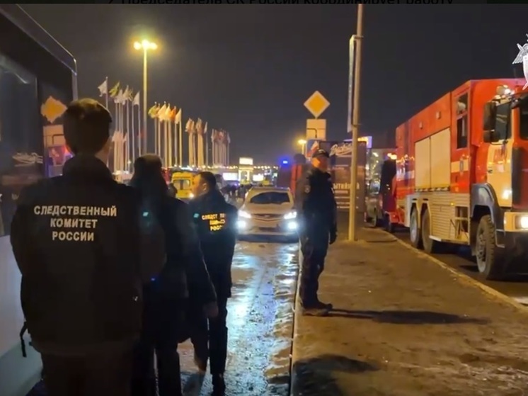 "112": все задержанные за теракт в "Крокусе" - граждане России