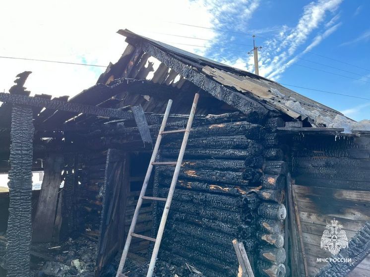 При пожаре в деревне Березкино под Томском сгорели куры