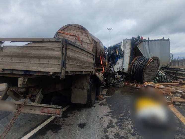 В ГИБДД сообщили подробности смертельного ДТП с грузовиками в Чудовском районе