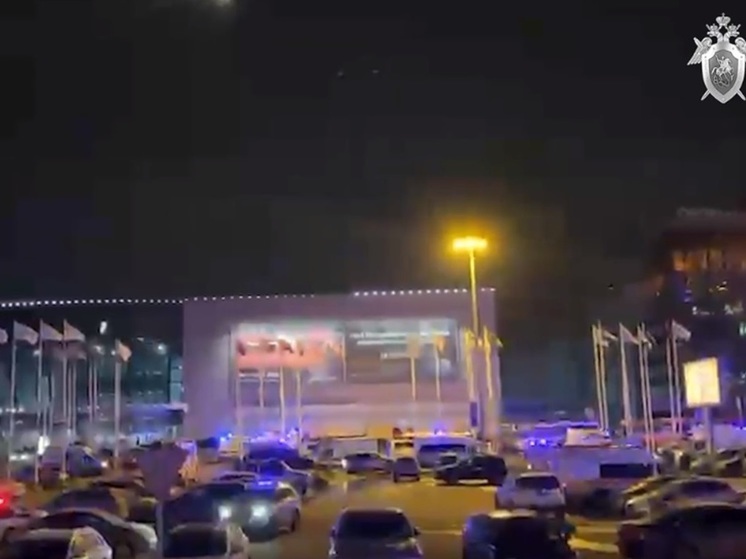 Прикованную к коляске женщину не могут найти после теракта в "Крокусе"