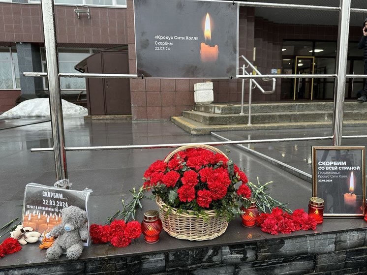 У Дворца культуры в Тосно появился стихийный мемориал в память о погибших в «Крокус Сити Холле»