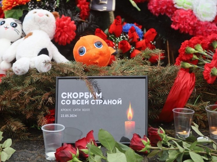 В Большом Серпухове пройдет акция памяти жертв теракта в «Крокус сити холле»