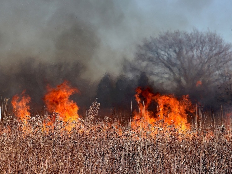 Смоленские пожарные напоминают об опасности весенних палов травы