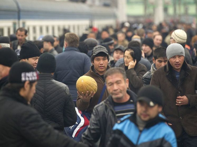 Депутат Госдумы предложил ограничить въезд мигрантов в Россию на время спецоперации