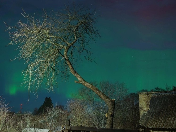 Северное сияние запечатлели ночью в Псковской области