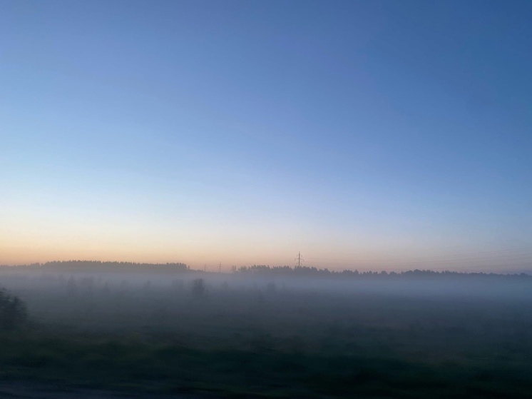 24 марта в Рязанской области выпустили метеопредупреждение из-за тумана