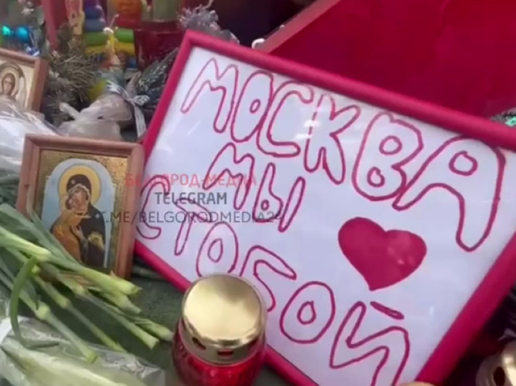 В Белгороде появился стихийный мемориал в память о погибших в Подмосковье