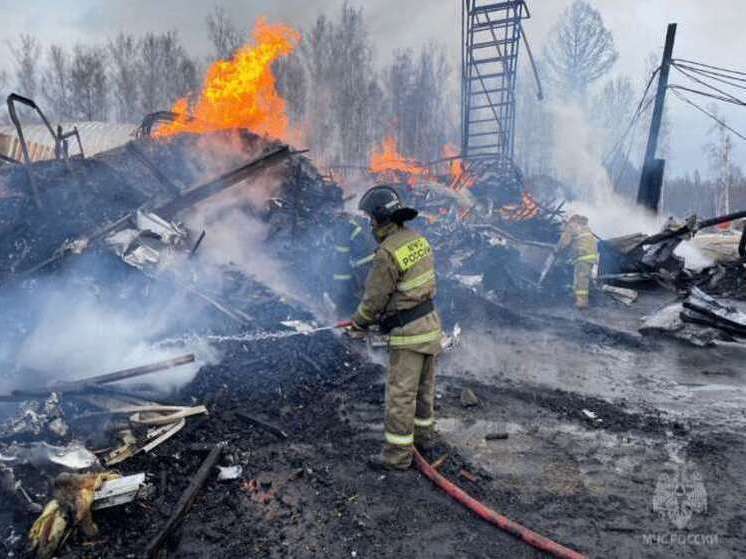 В соседнем с Хакасией регионе потушили пожар в сушильном цехе