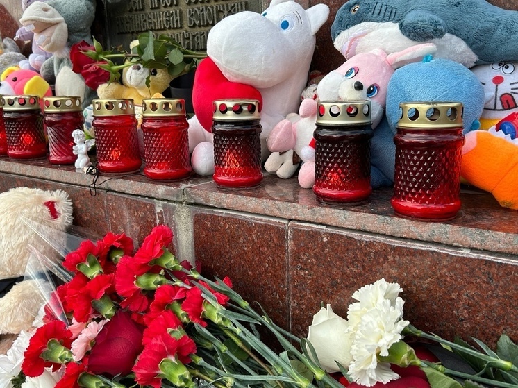 В 12 часов на Вологодчине пройдет минута молчания в память о погибших в теракте