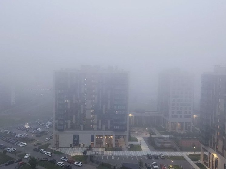 Петербуржцев предупредили о сильном тумане 25 марта