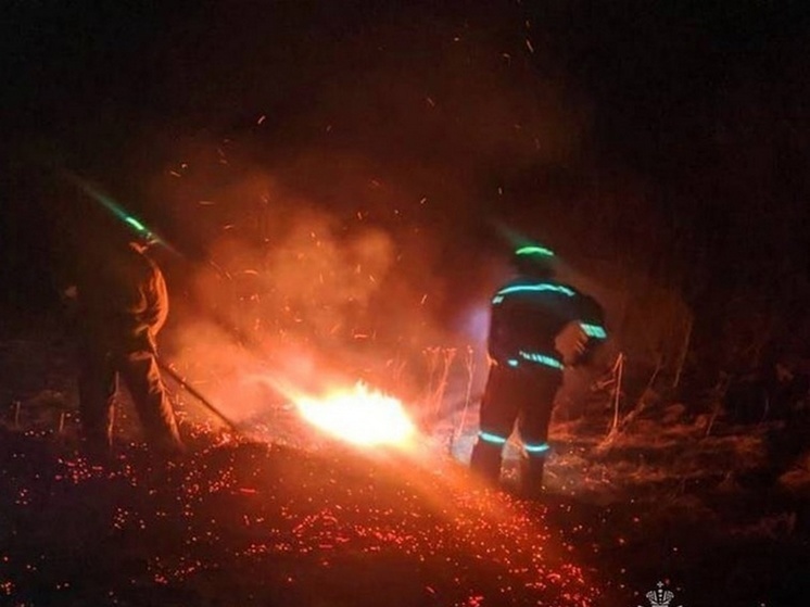 За сутки в Курской области спасатели 11 раз выезжали на случаи горения сухой травы