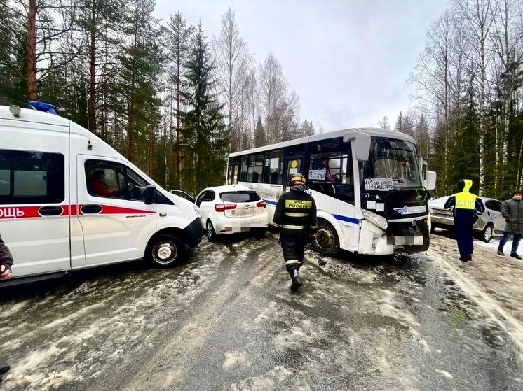 Пассажирский автобус попал в ДТП под Петрозаводском, есть пострадавшие