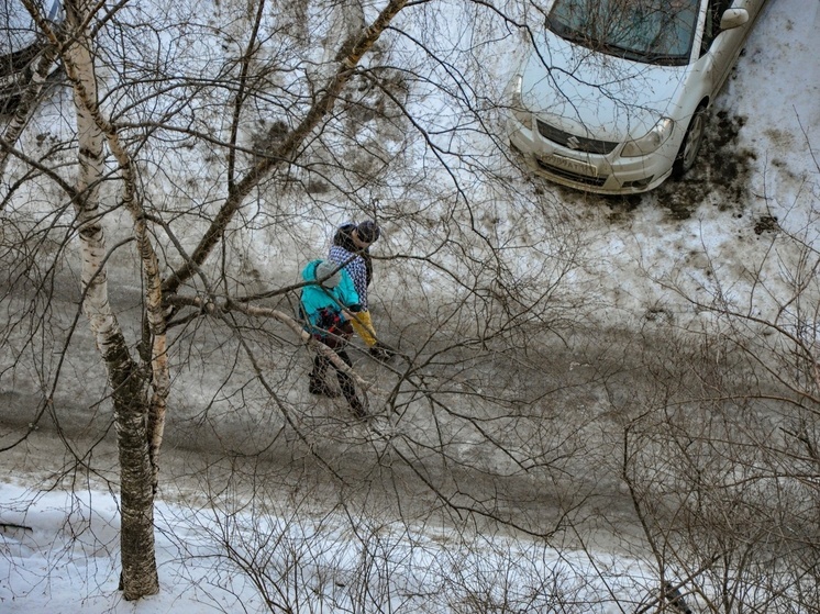 Мокрый снег и +4 градуса: синоптики рассказали о погоде в Томске на 25 марта