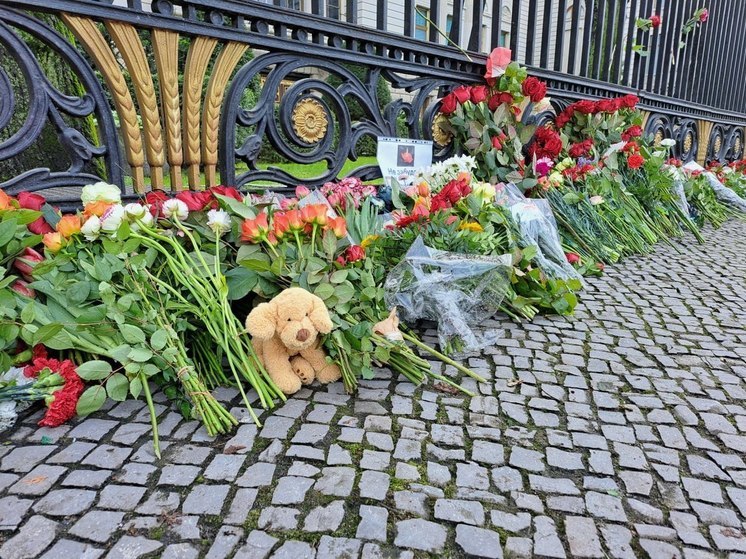 Германия: Наши глубочайшие соболезнования семьям погибших