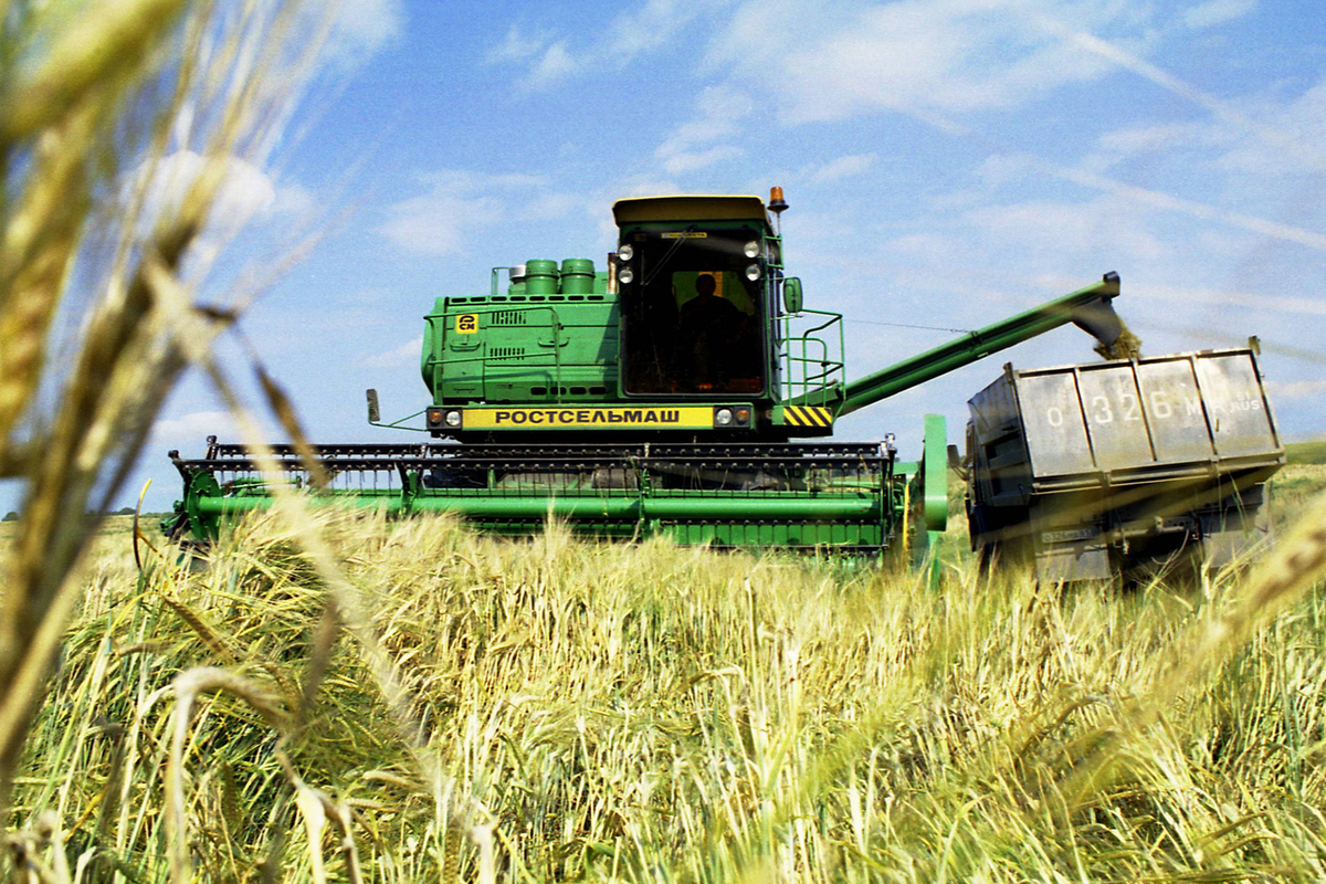 The European Union will introduce prohibitive duties on grain from Russia: the consequences are named