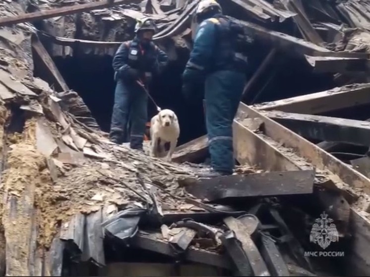 Число погибших в Красногорске увеличилось до 137 человек