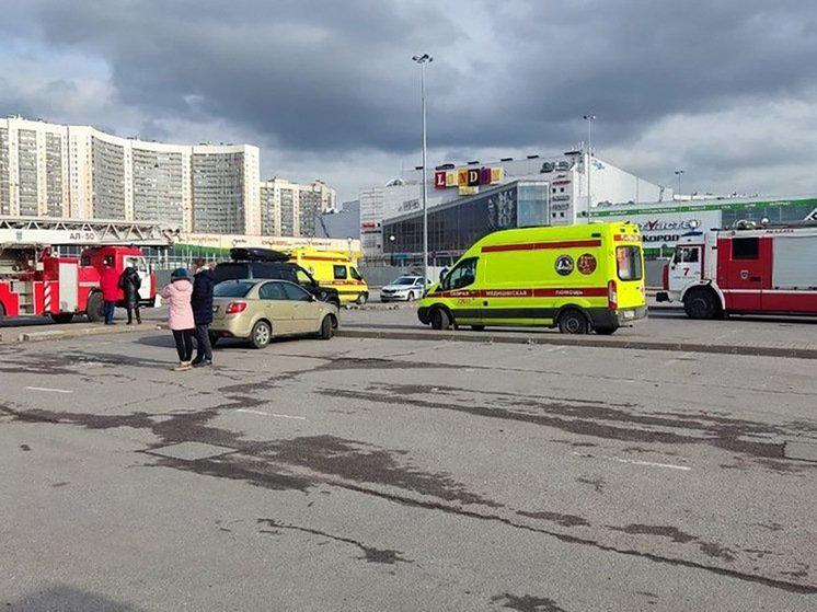 В ТЦ "Лондон Молл" в Петербурге не нашли взрывных устройств