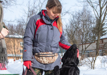 В единственной в России школе, где готовят собак-поводырей, для незрячих людей нет барьеров и границ

