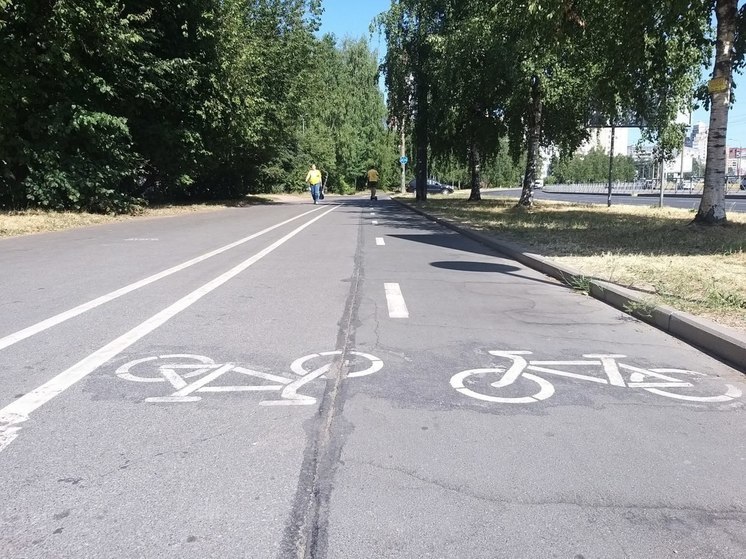 К середине лета в Великом Новгороде должна появиться новая велодорожка