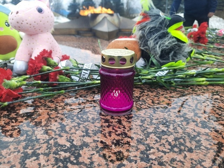 Вяземская поэтесса написала стихотворение в память о погибших во время теракта