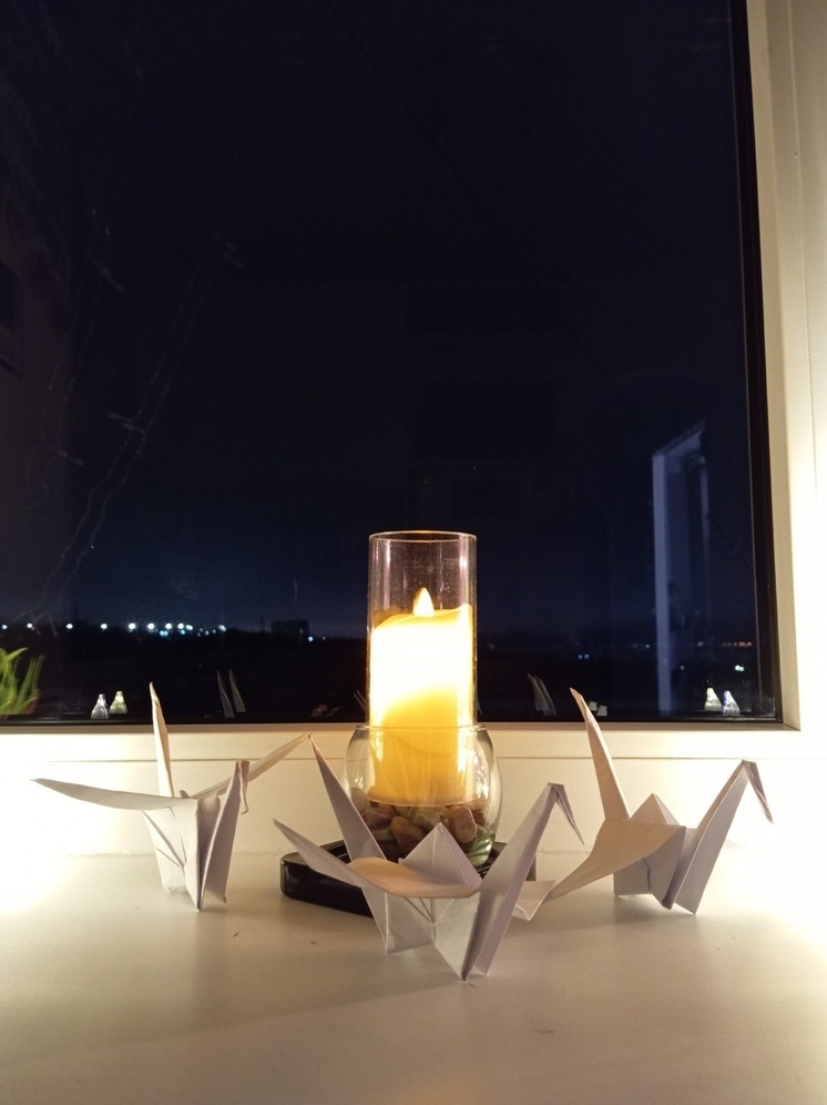 Карелия зажгла свечи и запустила журавликов в память о погибших при теракте