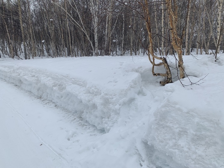 На камчатской общественной лыжне был обнаружен труп