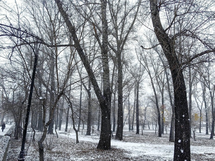 В Хакасии ожидается снег с дождем и сильный ветер