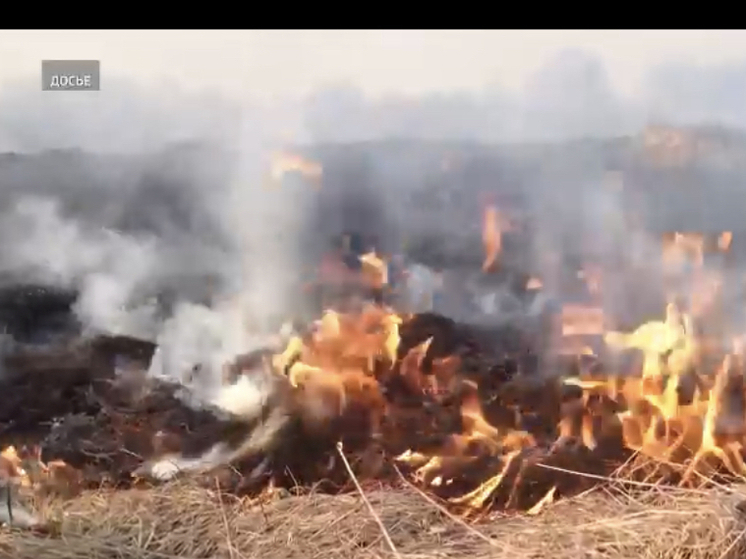 В Смоленской области наступил сезон палов травы