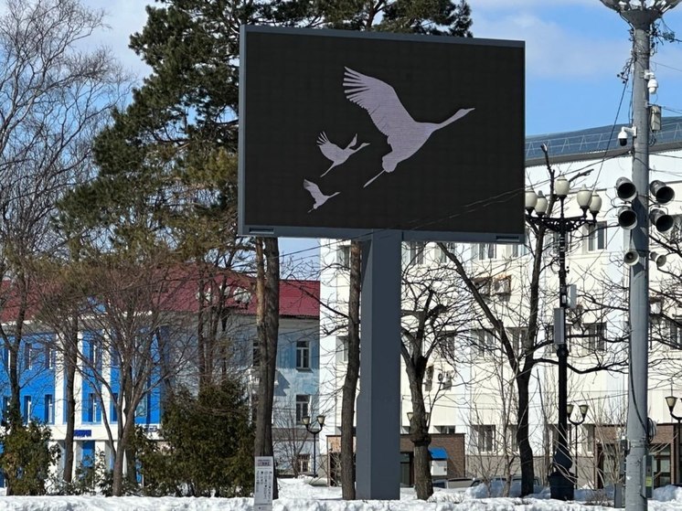 Южно-Сахалинск присоединился к акции «Журавли» в память о жертвах теракта в «Крокусе»